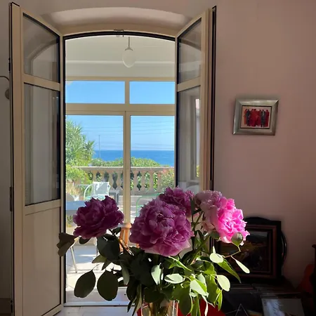 Tricia Cannes