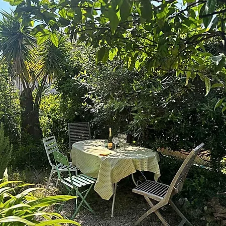 Nocleg ze śniadaniem Tricia Cannes