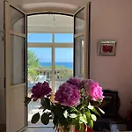 Tricia Cannes