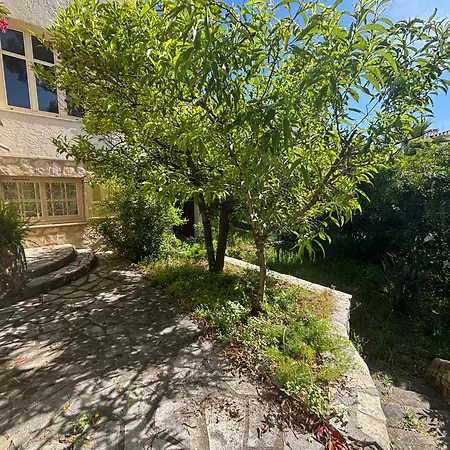 Tricia Bed & Breakfast Cannes