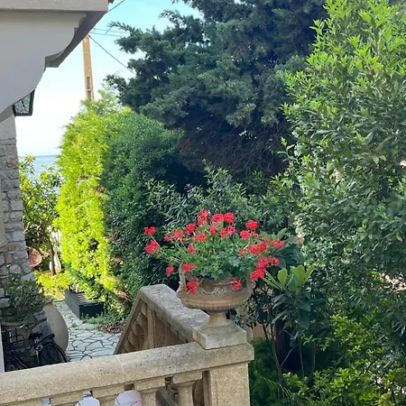 Oda ve Kahvaltı Tricia *